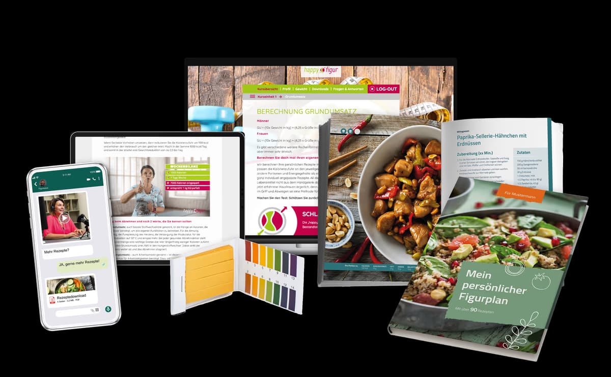 Happyfigur Paket — Ernährungsplan, Rezeptbuch, Online-Plattform